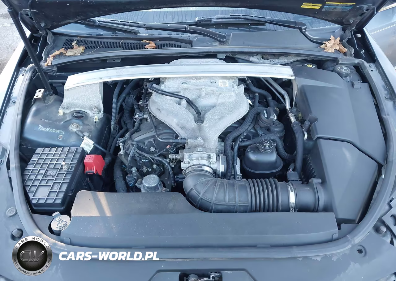 2010 Cadillac Cts Premium VIN:1G6DS5EV5A0105120 - 10