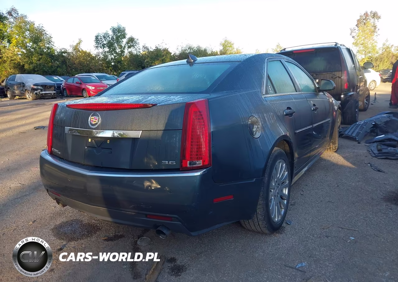 2010 Cadillac Cts Premium VIN:1G6DS5EV5A0105120 - 4