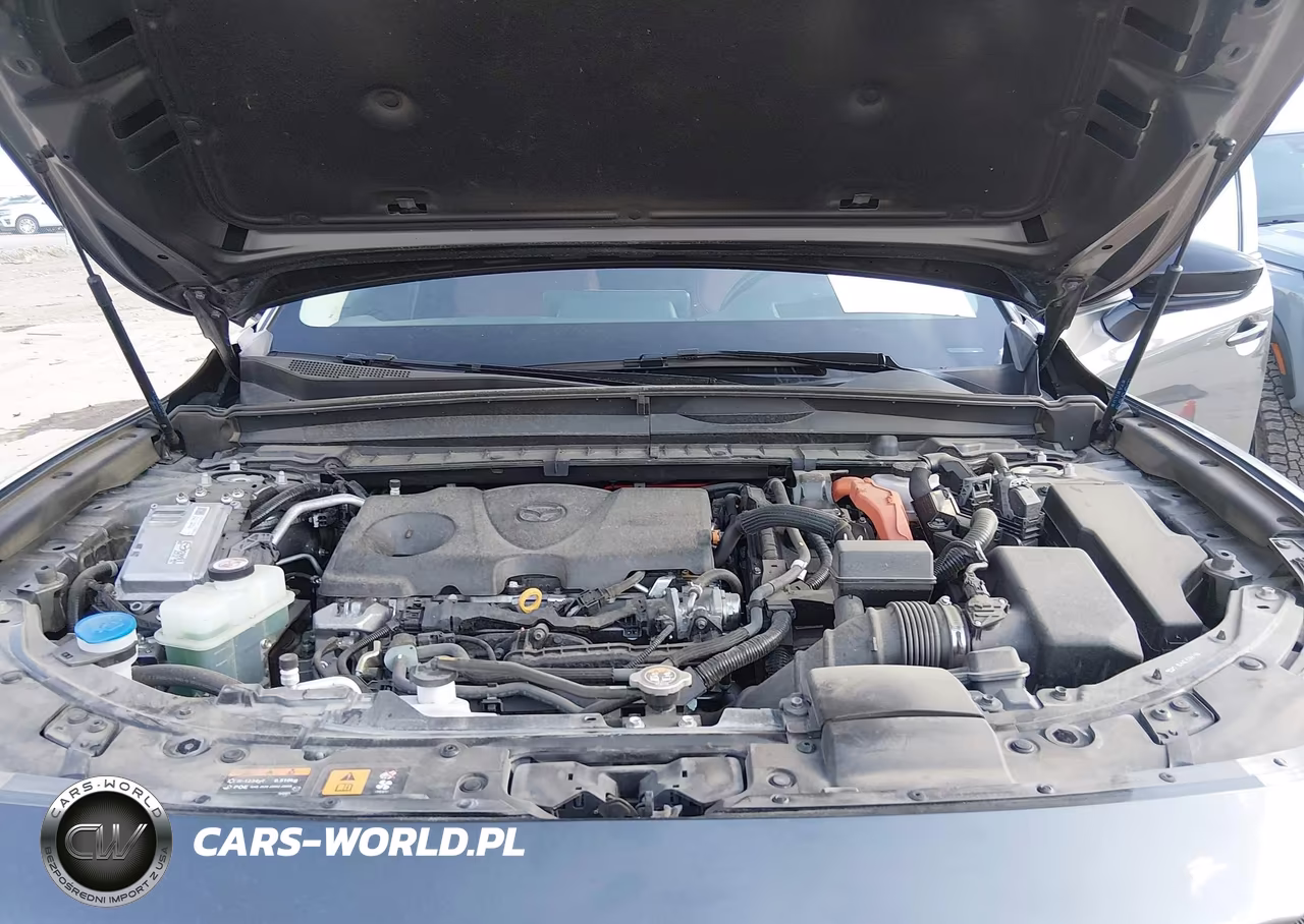 2025 Mazda Cx-50 Hybrid Premium Plus Package VIN:7MMVAAEW0SN130047 - 10
