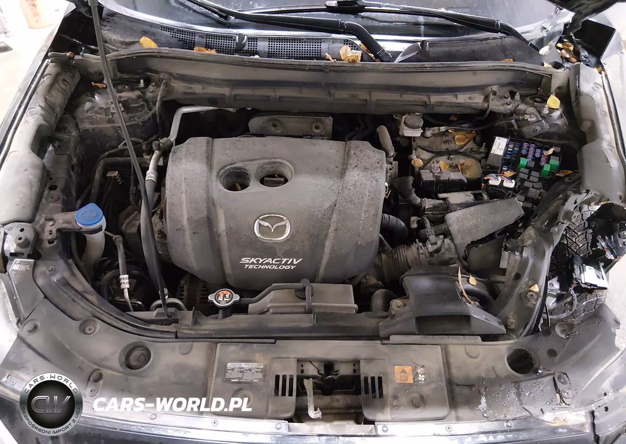 2019 Mazda Cx-5 Touring VIN:JM3KFBCM1K1564276 - 10