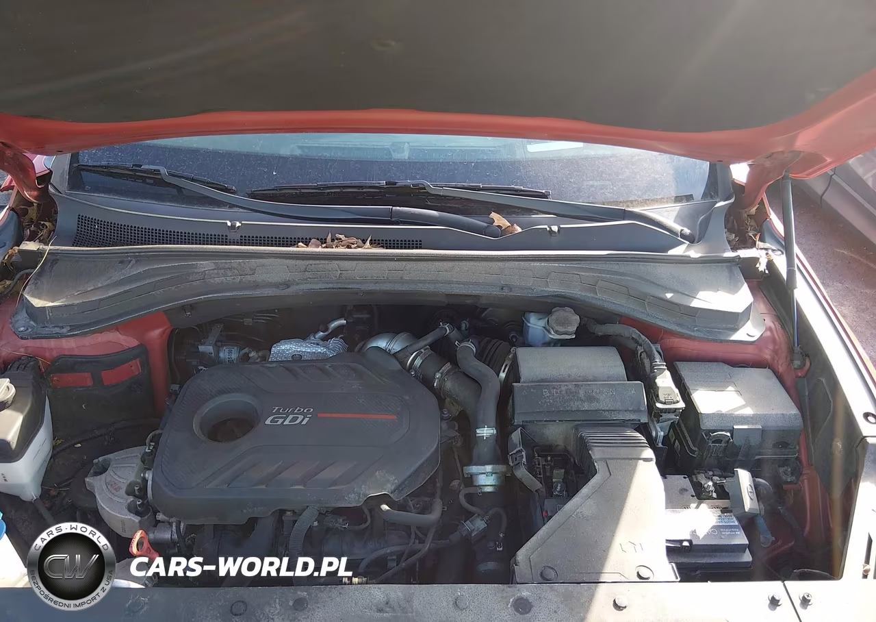 2019 Hyundai Santa Fe Ultimate 2.0T VIN:5NMS5CAA3KH062224 - 10