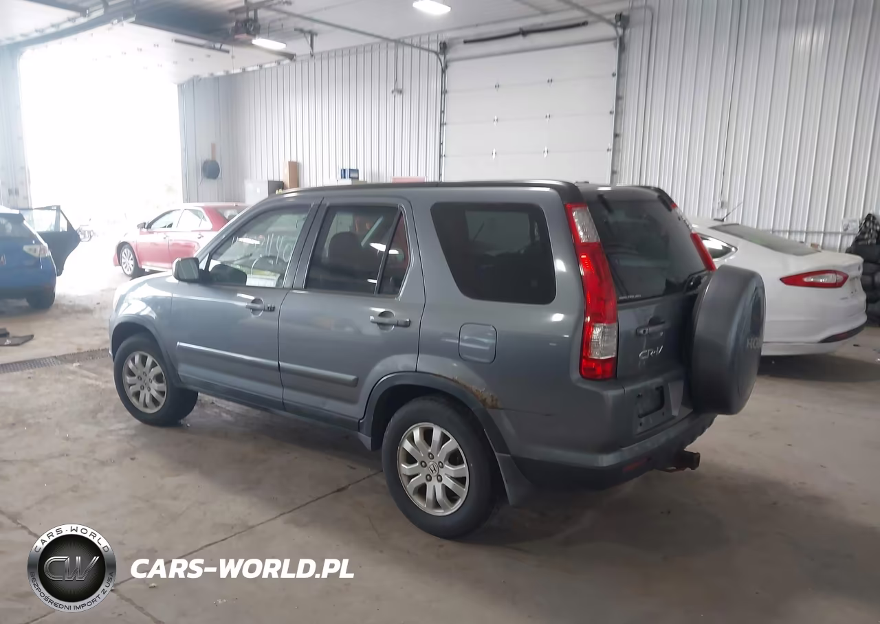 2005 Honda Cr-V Se VIN:JHLRD78905C003769 - 3