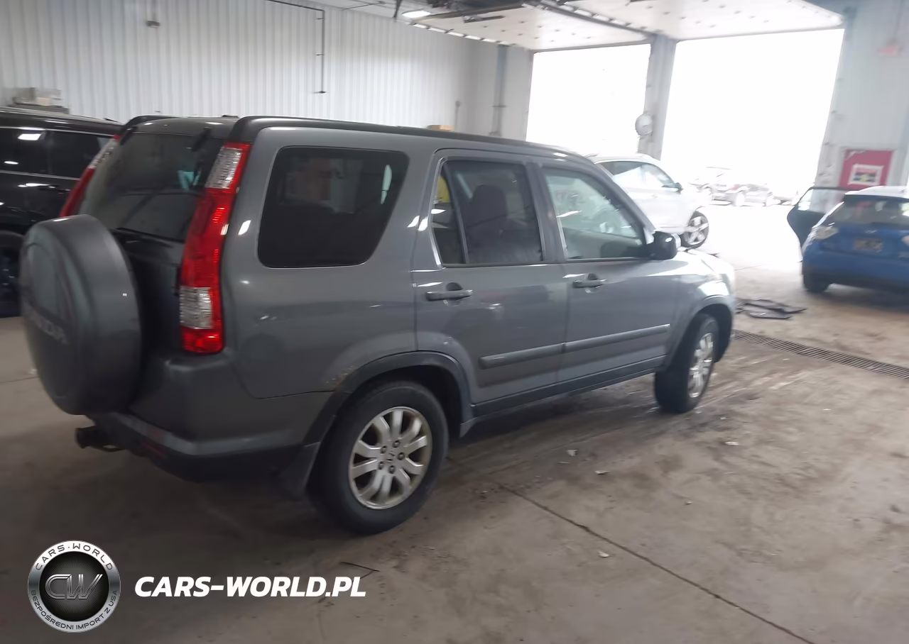 2005 Honda Cr-V Se VIN:JHLRD78905C003769 - 4
