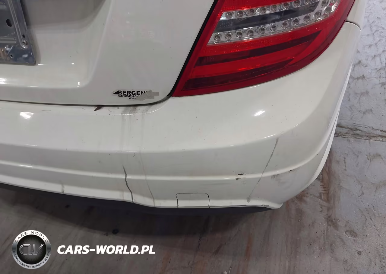 2015 Mercedes-Benz C 250 VIN:WDDGJ4HB8FG371275 - 18