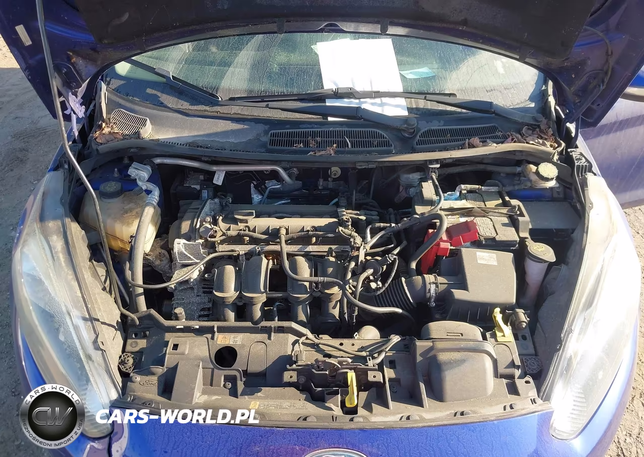 2014 Ford Fiesta Se VIN:3FADP4BJ2EM241675 - 10