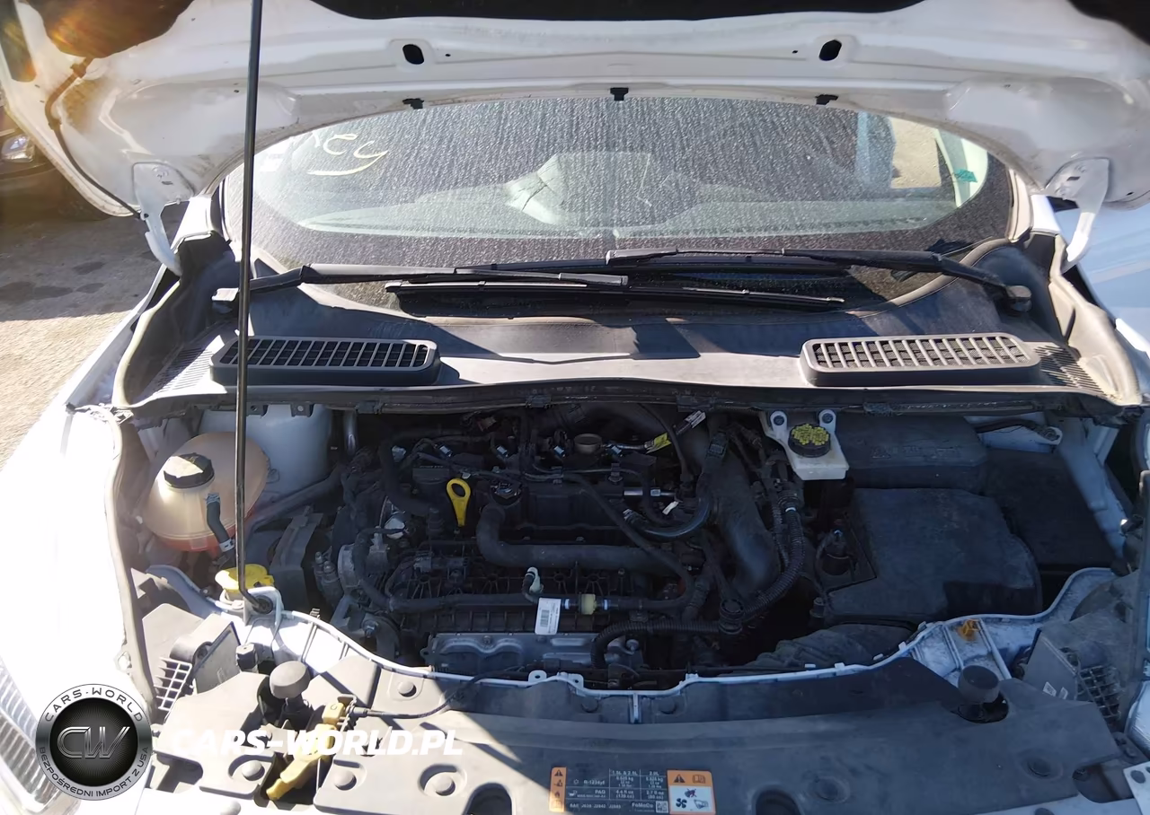 2019 Ford Escape Sel VIN:1FMCU9HD3KUA77188 - 10