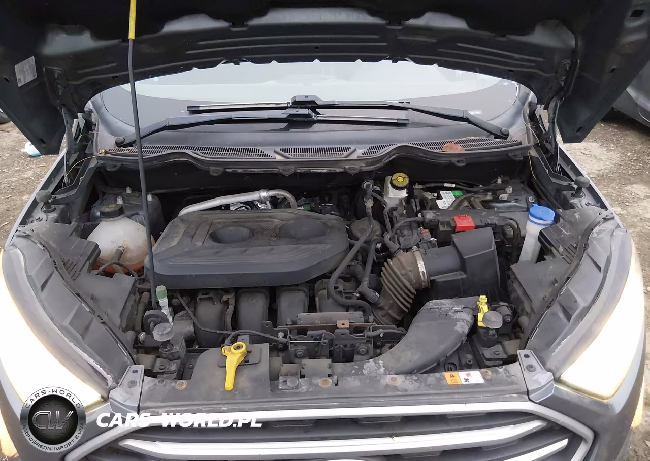 2018 Ford Ecosport Se VIN:MAJ6P1UL2JC180068 - 10