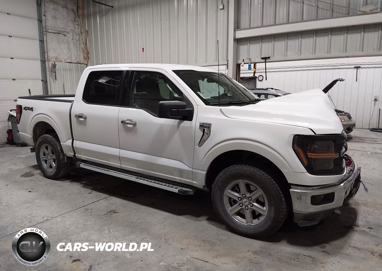 2025 Ford F-150 Xlt VIN:1FTFW3L85SKD84196 - 13