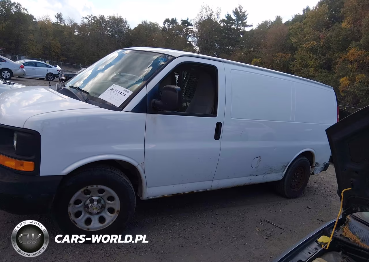 2013 Chevrolet Express 1500 Work Van VIN:1GCSHAF42D1193480 - 14