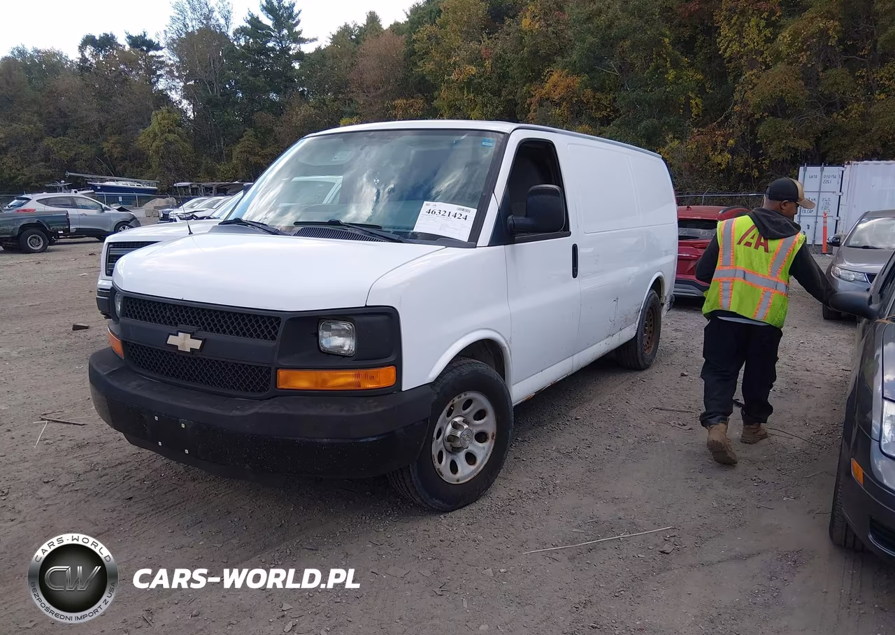 2013 Chevrolet Express 1500 Work Van VIN:1GCSHAF42D1193480 - 2