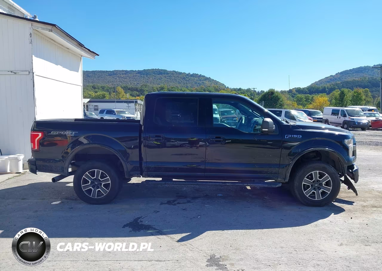 2016 Ford F-150 Xlt VIN:1FTEW1EF2GFD46145 - 13