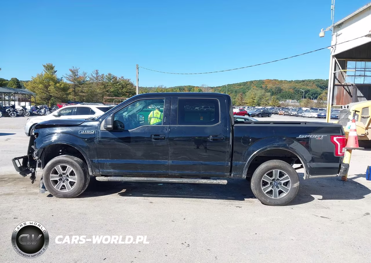 2016 Ford F-150 Xlt VIN:1FTEW1EF2GFD46145 - 14