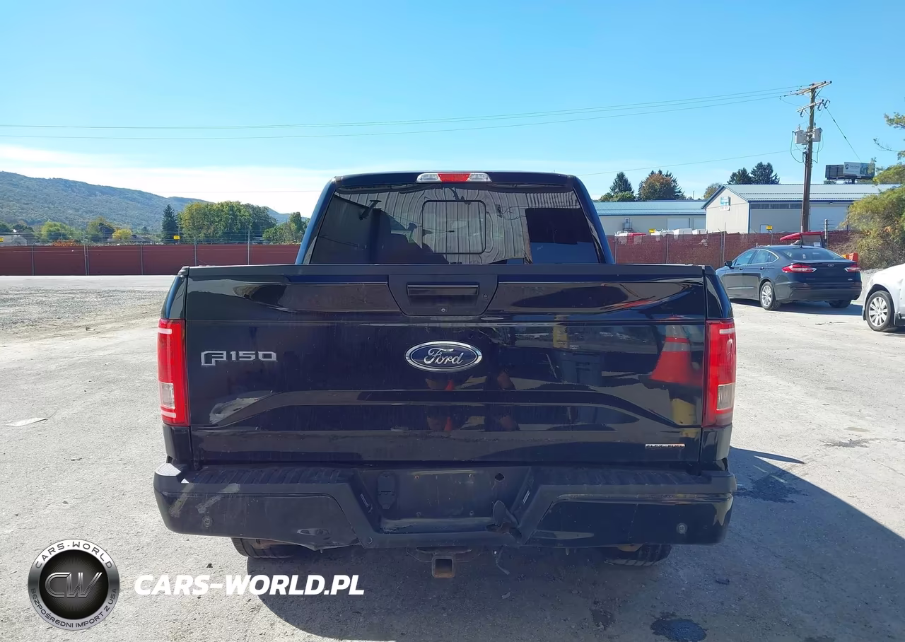 2016 Ford F-150 Xlt VIN:1FTEW1EF2GFD46145 - 16