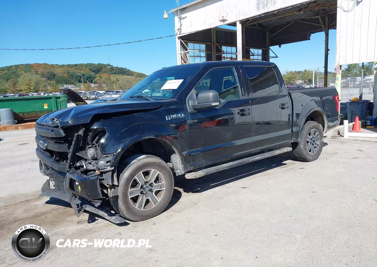 2016 Ford F-150 Xlt VIN:1FTEW1EF2GFD46145 - 2
