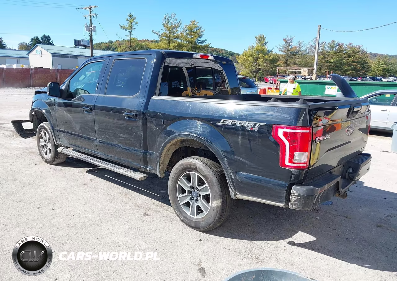 2016 Ford F-150 Xlt VIN:1FTEW1EF2GFD46145 - 3