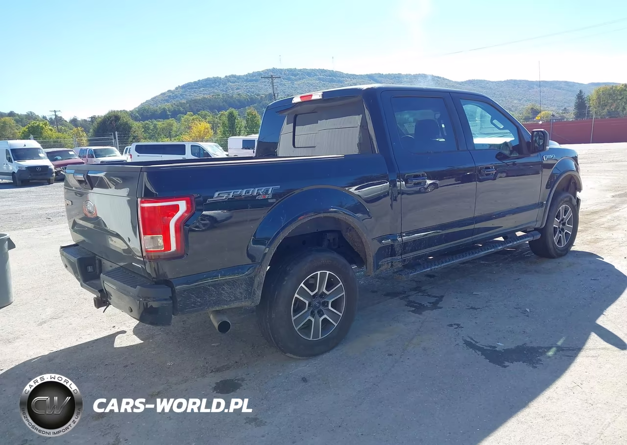 2016 Ford F-150 Xlt VIN:1FTEW1EF2GFD46145 - 4