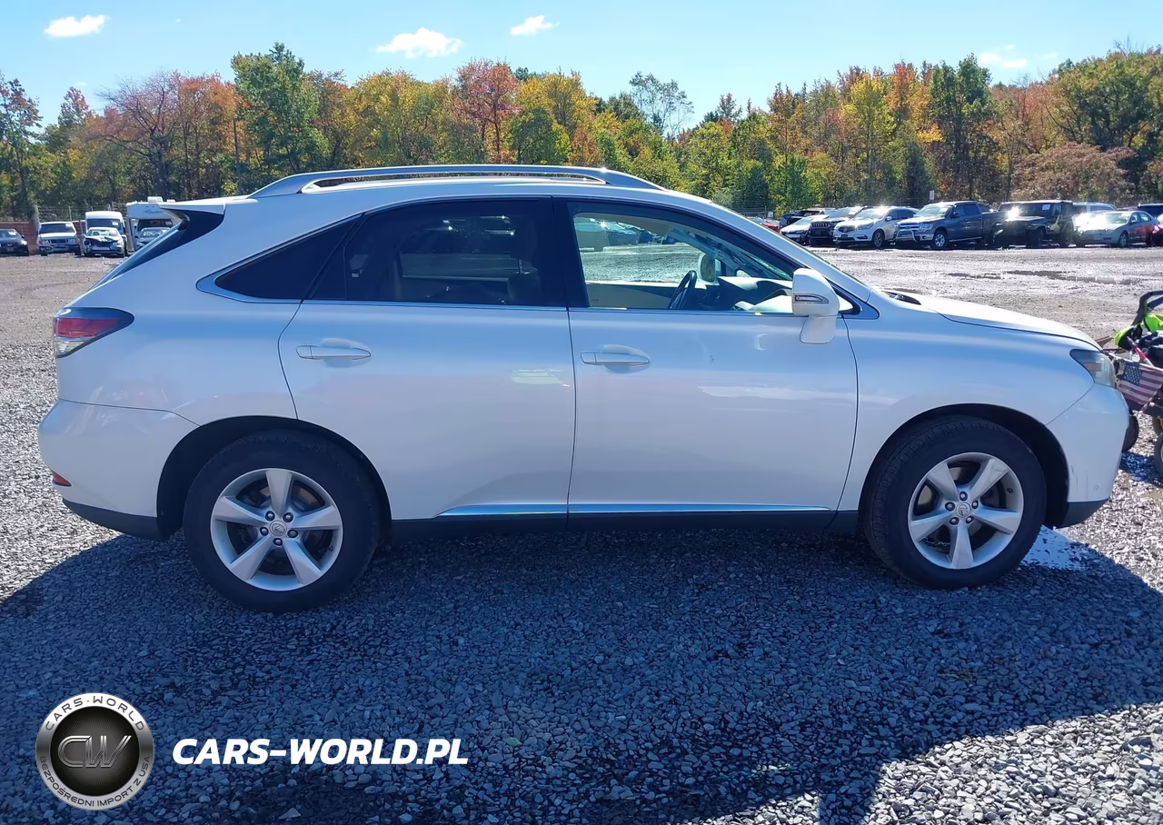 2015 Lexus Rx 350 VIN:2T2BK1BA1FC304785 - 13