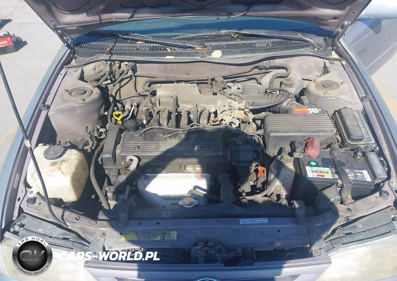 1997 Toyota Corolla Dx VIN:1NXBB02E9VZ645611 - 10