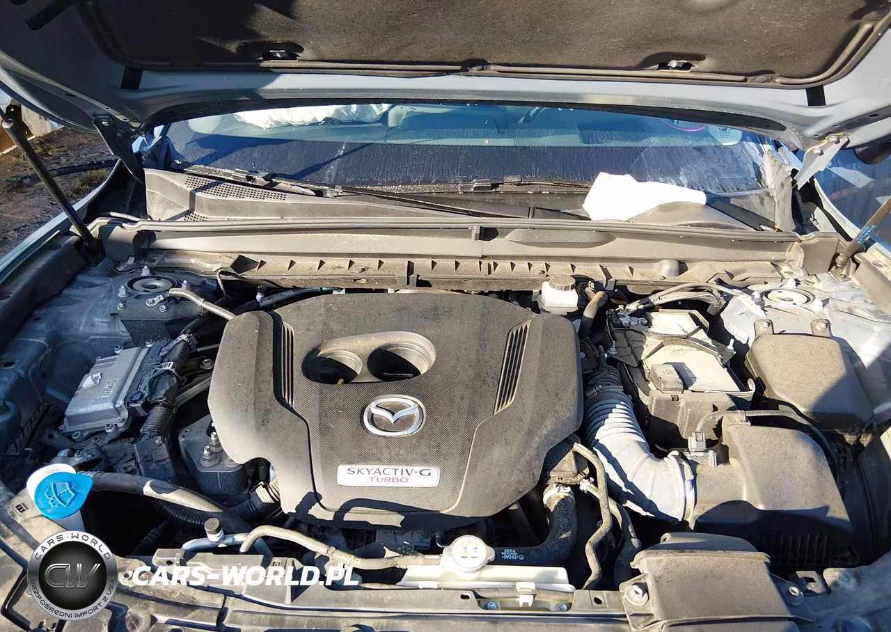 2023 Mazda Cx-50 2.5 Turbo Premium Plus VIN:7MMVABEYXPN128899 - 10