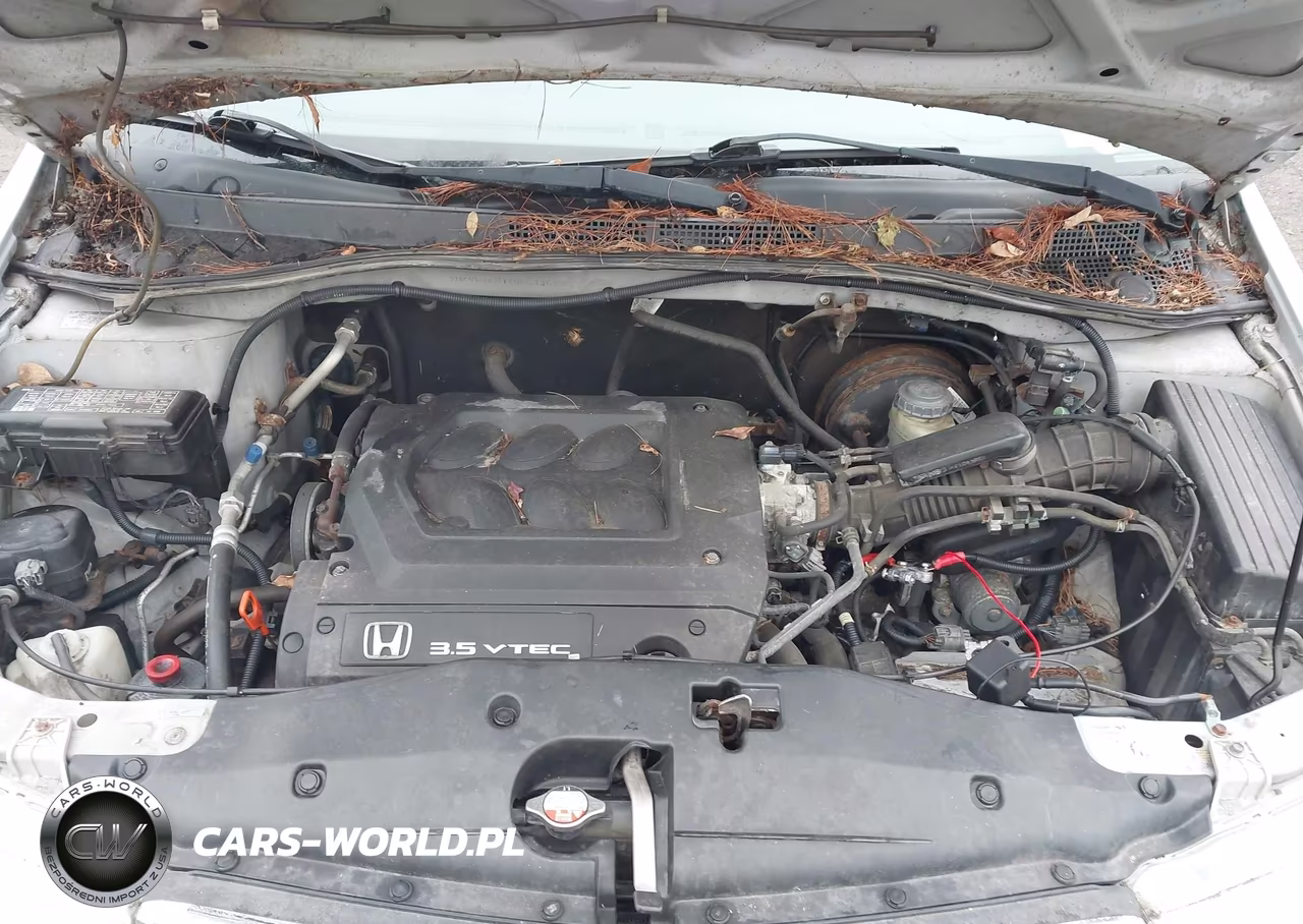 2001 Honda Odyssey Ex VIN:2HKRL18671H603352 - 10
