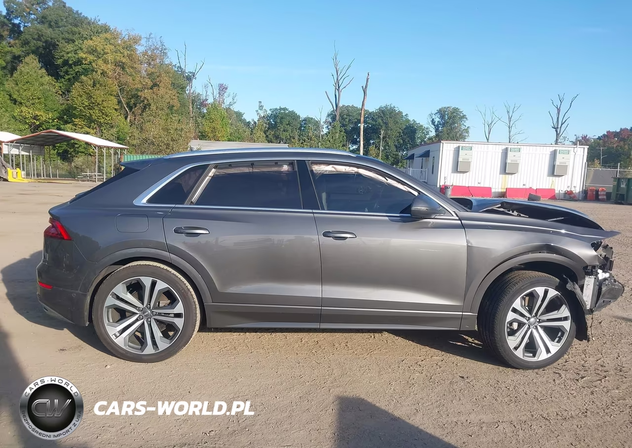 2019 Audi Q8 55 Premium VIN:WA1CVAF14KD046750 - 13