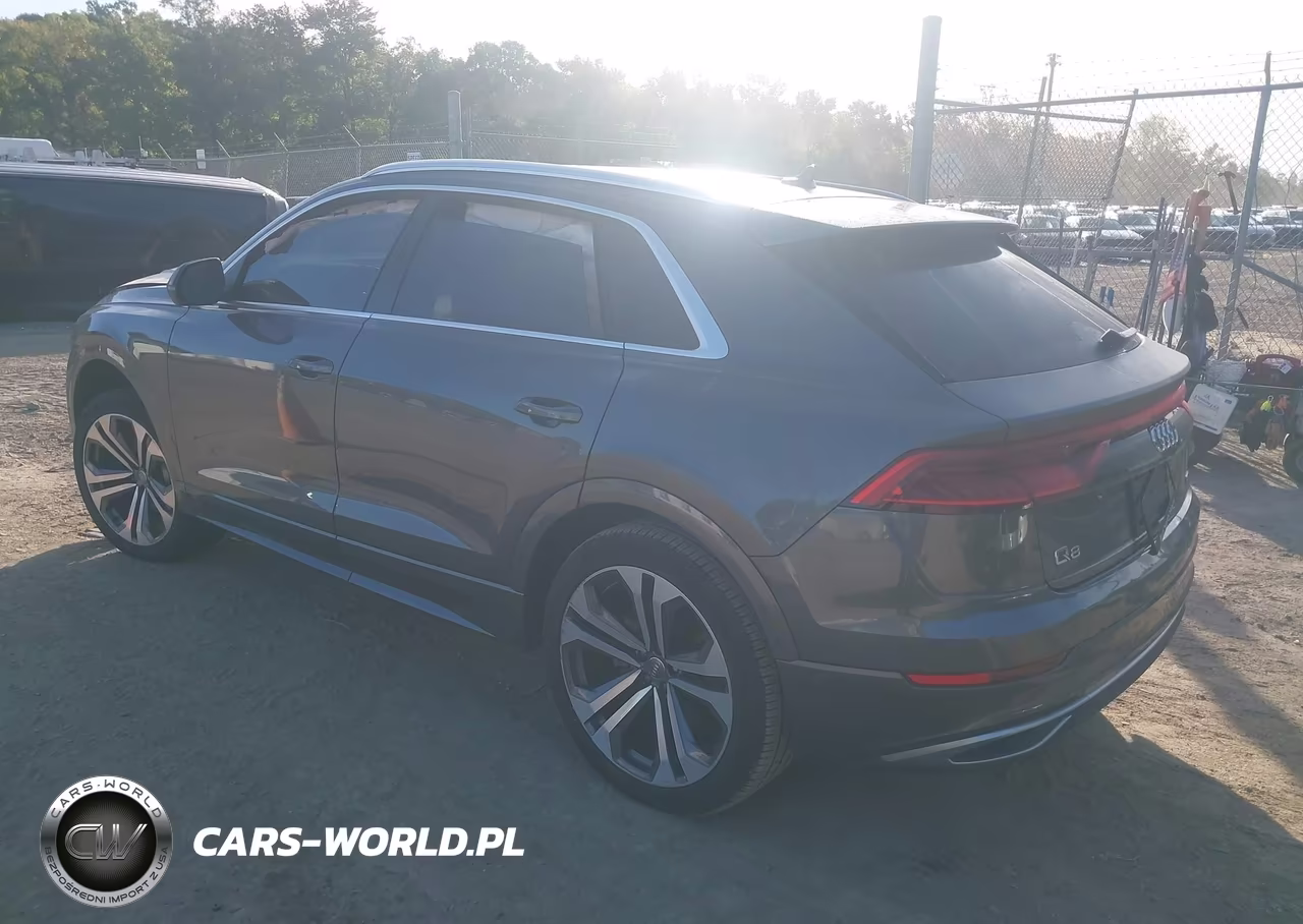 2019 Audi Q8 55 Premium VIN:WA1CVAF14KD046750 - 3