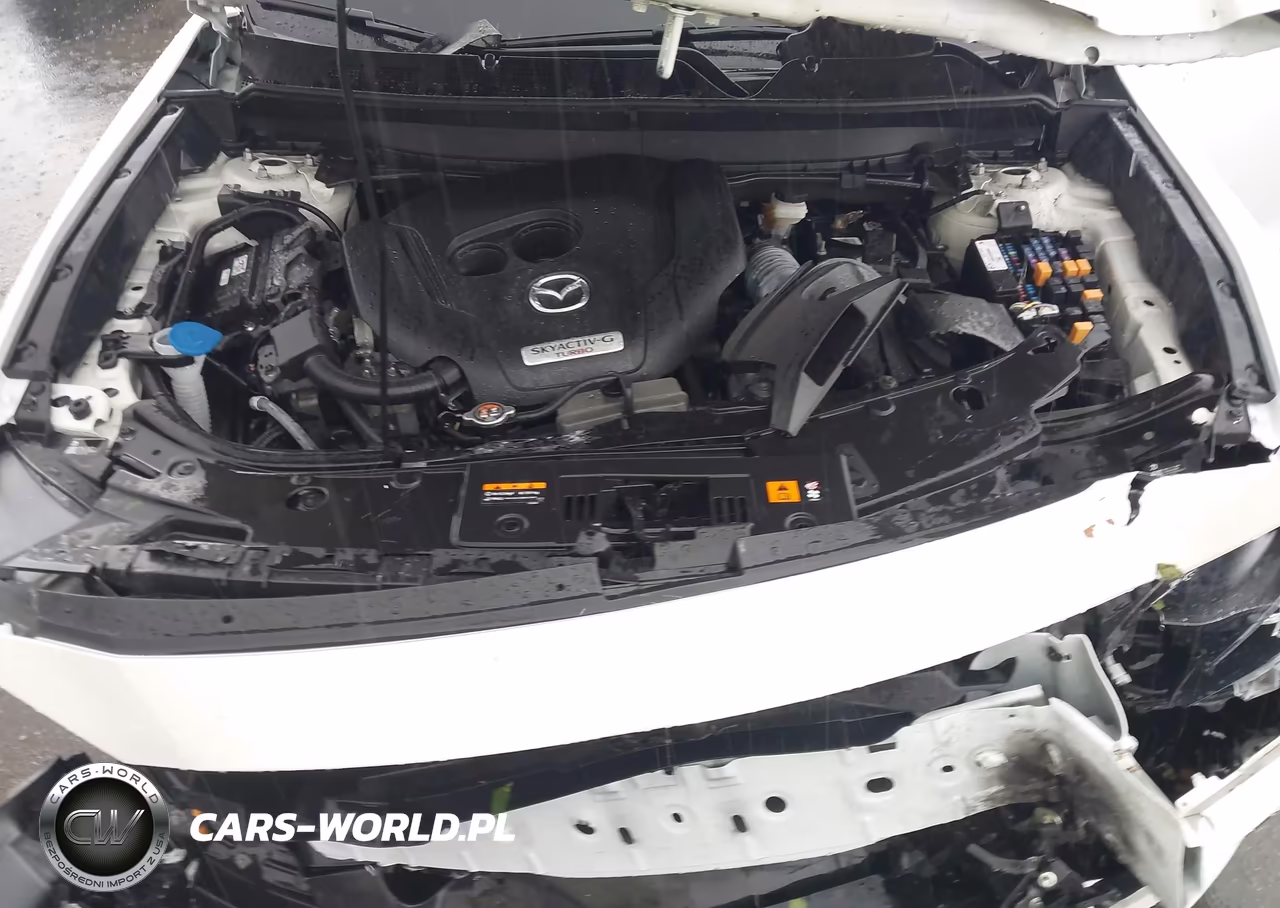 2022 Mazda Cx-9 Sport VIN:JM3TCBBY4N0606547 - 10