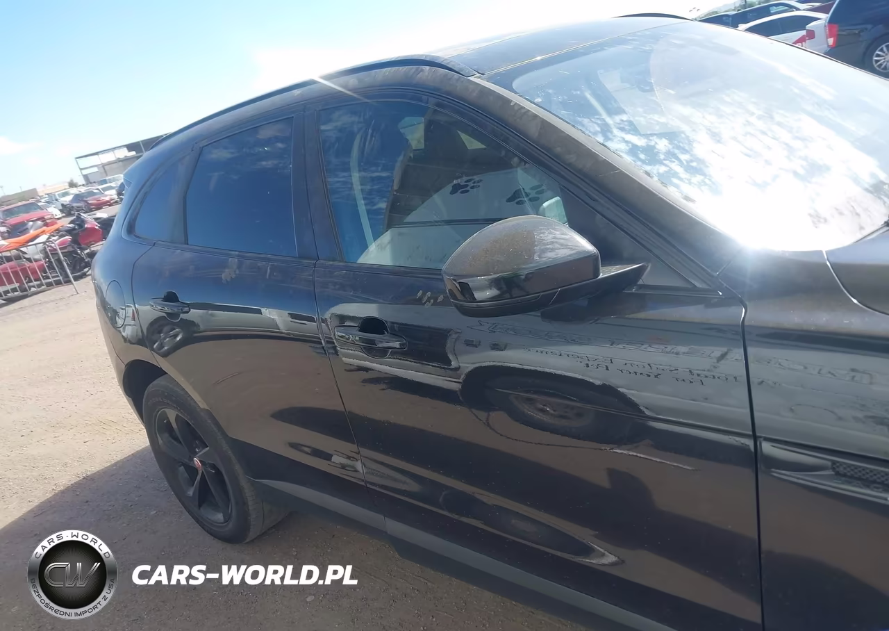 2019 Jaguar F-Pace 25T Prestige-30T Prestige VIN:SADCK2GX3KA395525 - 13