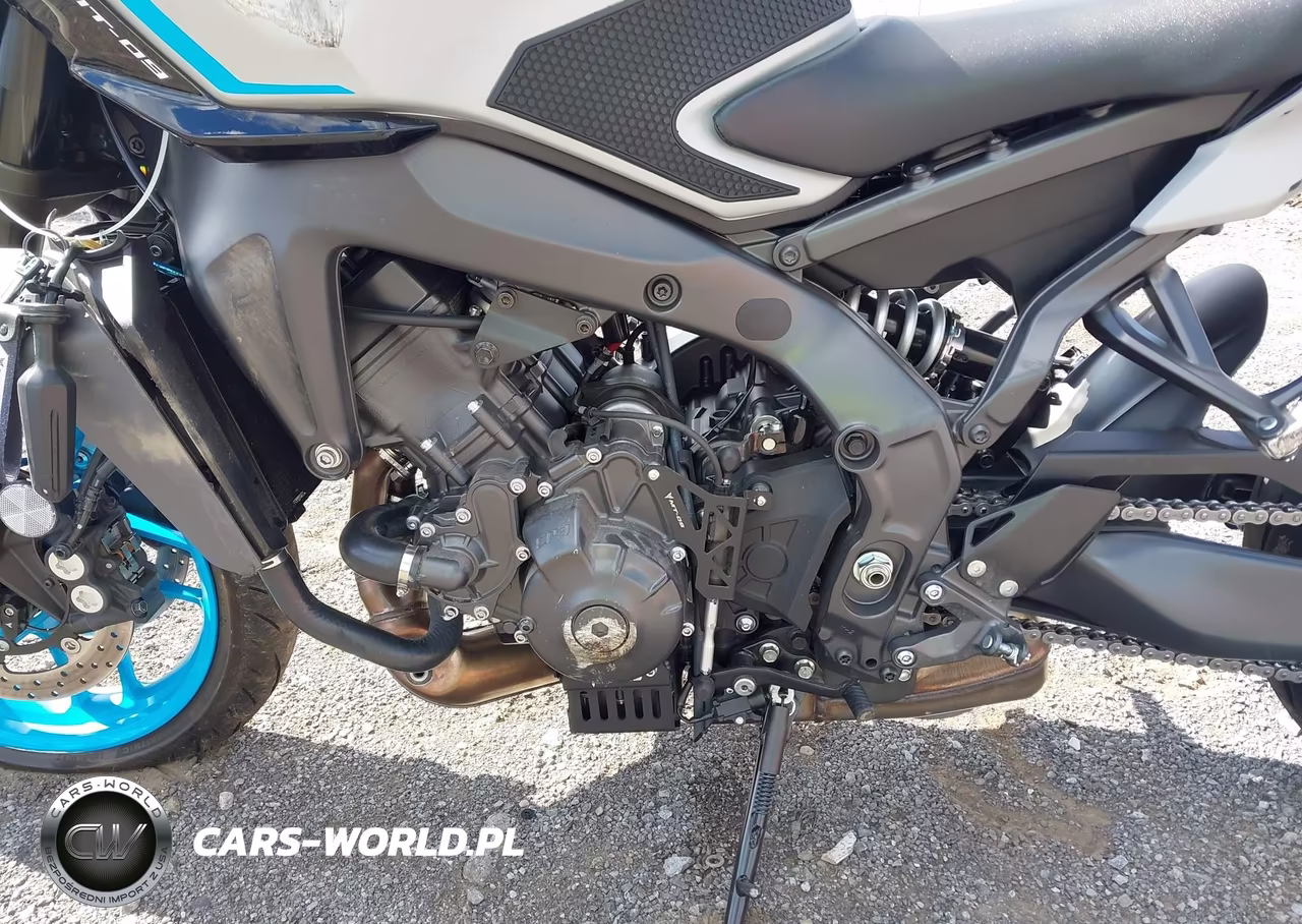 2025 Yamaha Mt09 VIN:JYARN94E3SA003700 - 9