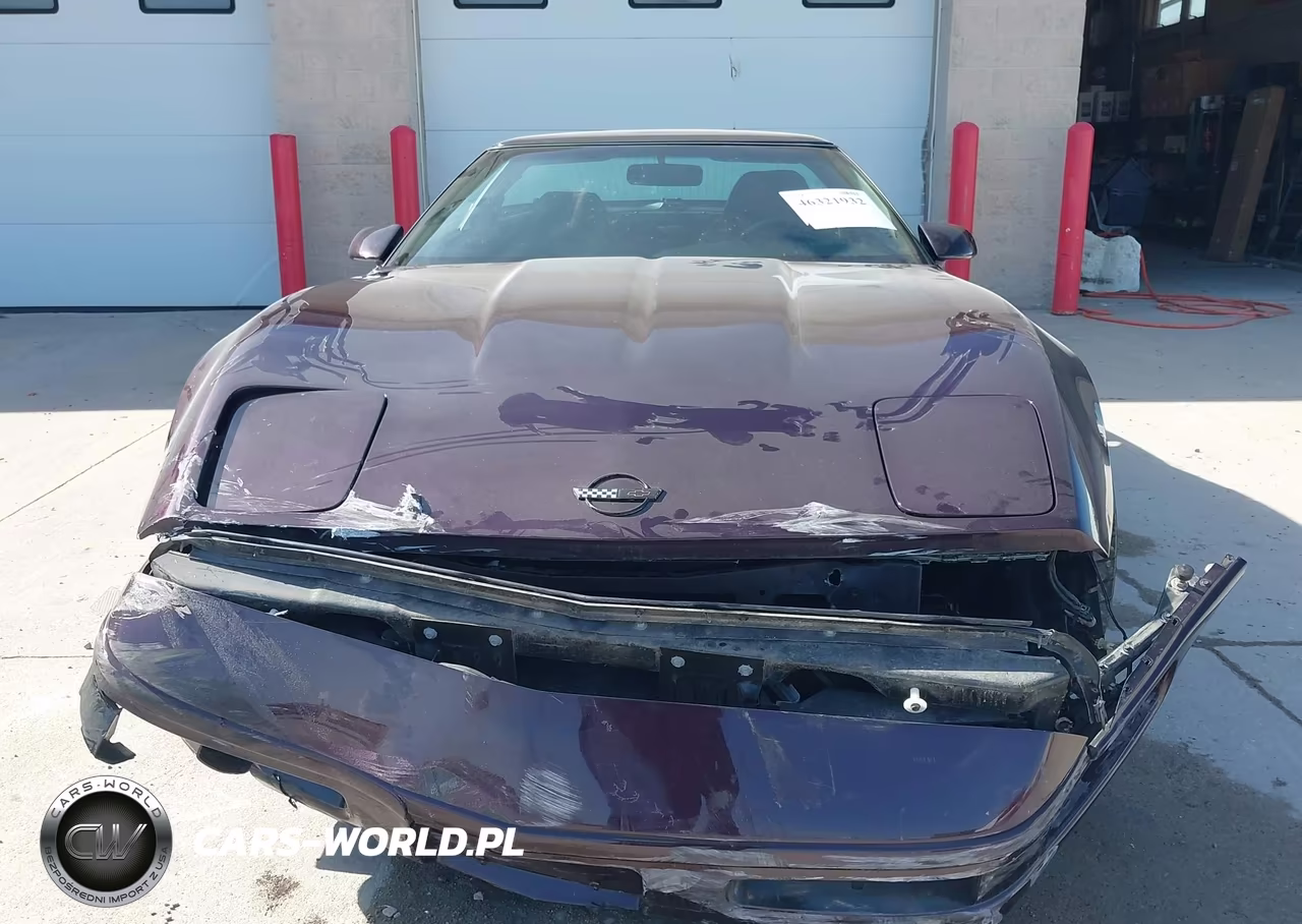 1994 Chevrolet Corvette VIN:1G1YY22P6R5110237 - 13