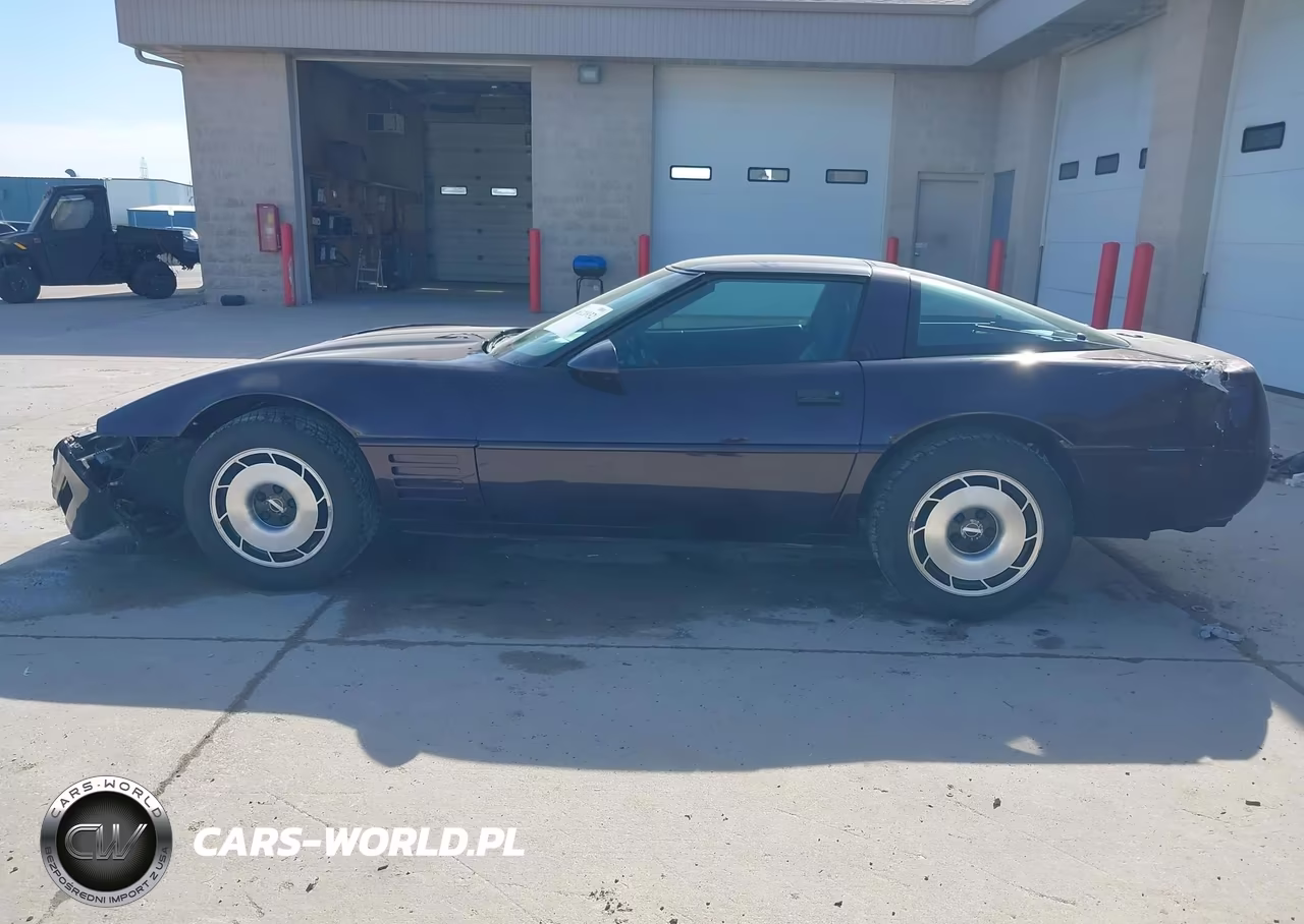 1994 Chevrolet Corvette VIN:1G1YY22P6R5110237 - 15