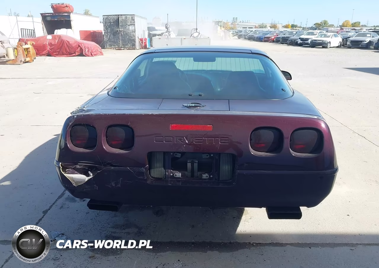 1994 Chevrolet Corvette VIN:1G1YY22P6R5110237 - 17