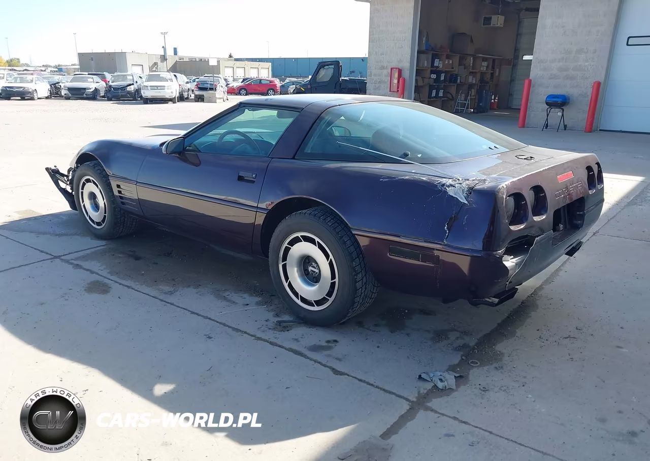 1994 Chevrolet Corvette VIN:1G1YY22P6R5110237 - 3
