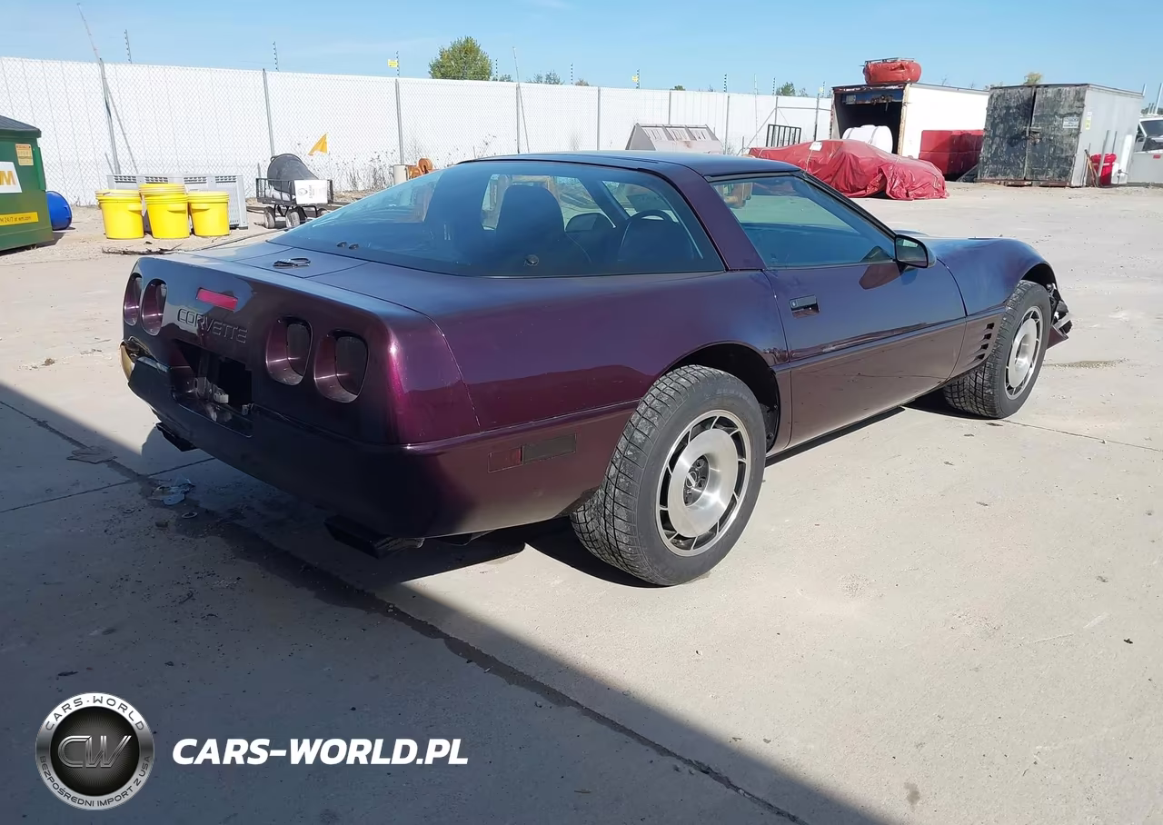 1994 Chevrolet Corvette VIN:1G1YY22P6R5110237 - 4