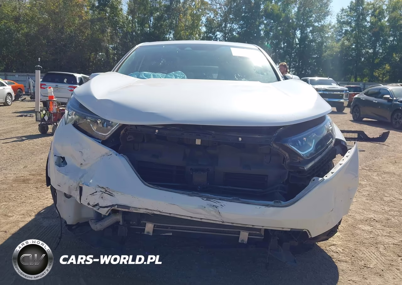 2019 Honda Cr-V Ex-L VIN:5J6RW2H89KA008035 - 6