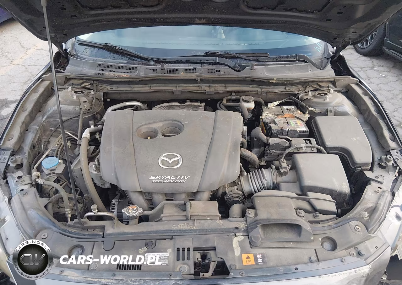2016 Mazda Mazda3 I Sport VIN:JM1BM1K73G1310239 - 10