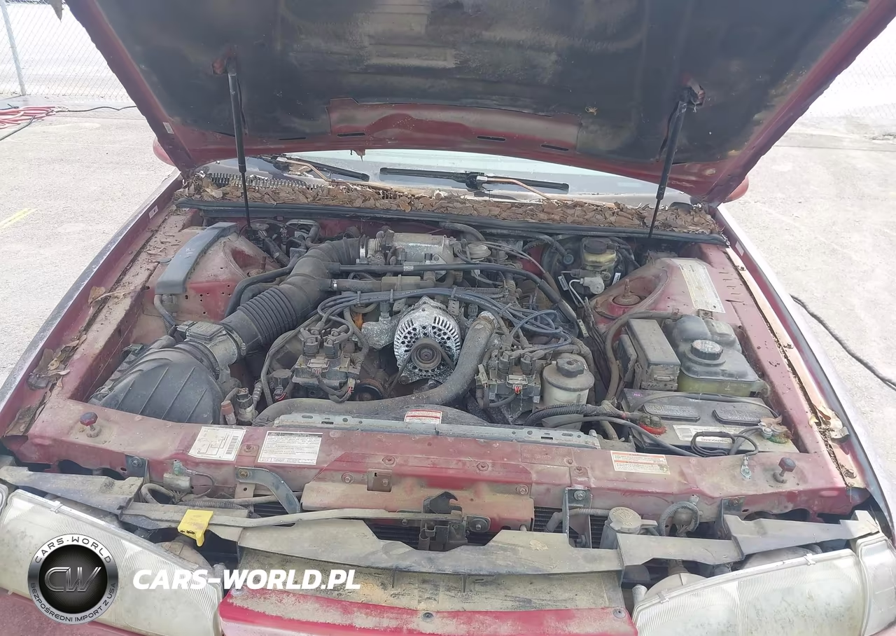 1997 Ford Thunderbird Lx VIN:1FALP62W4VH144985 - 10