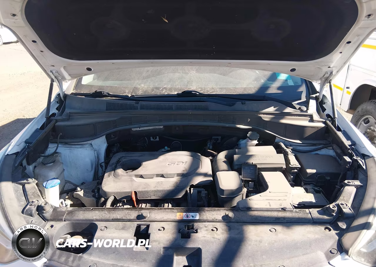 2018 Hyundai Santa Fe Sport 2.4L VIN:5XYZT3LB3JG539026 - 10