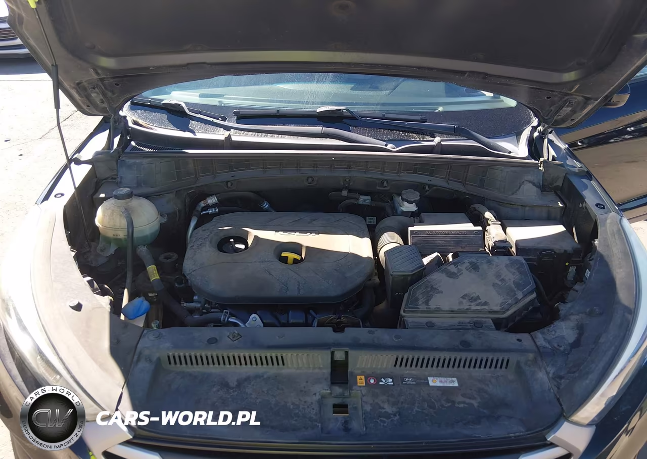 2018 Hyundai Tucson Sel VIN:KM8J33A45JU817307 - 10
