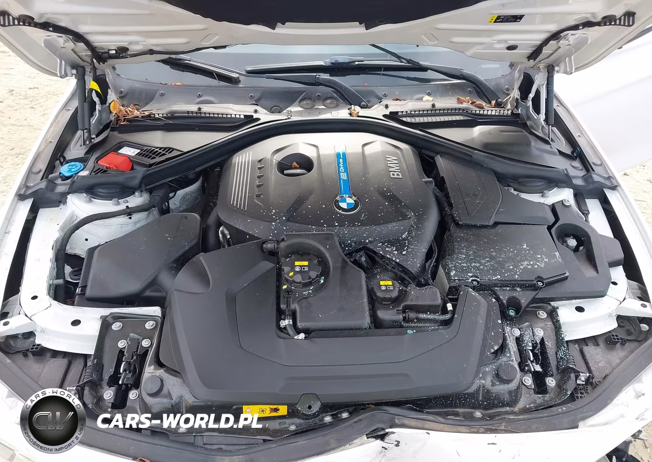 2018 BMW 330E Iperformance VIN:WBA8E1C54JA178567 - 10