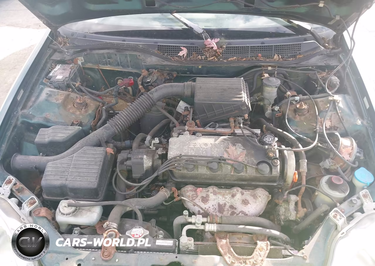 2000 Honda Civic Lx VIN:JHMEJ6677YS007326 - 10