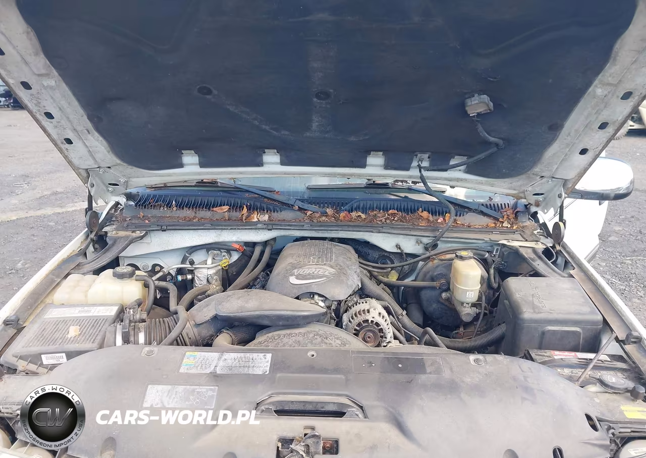2002 Chevrolet Silverado 1500 Ls VIN:2GCEK19T321216953 - 10