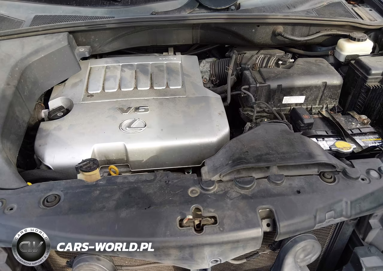 2009 Lexus Rx 350 VIN:2T2HK31U49C113254 - 10