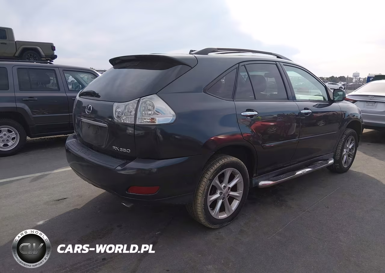 2009 Lexus Rx 350 VIN:2T2HK31U49C113254 - 4