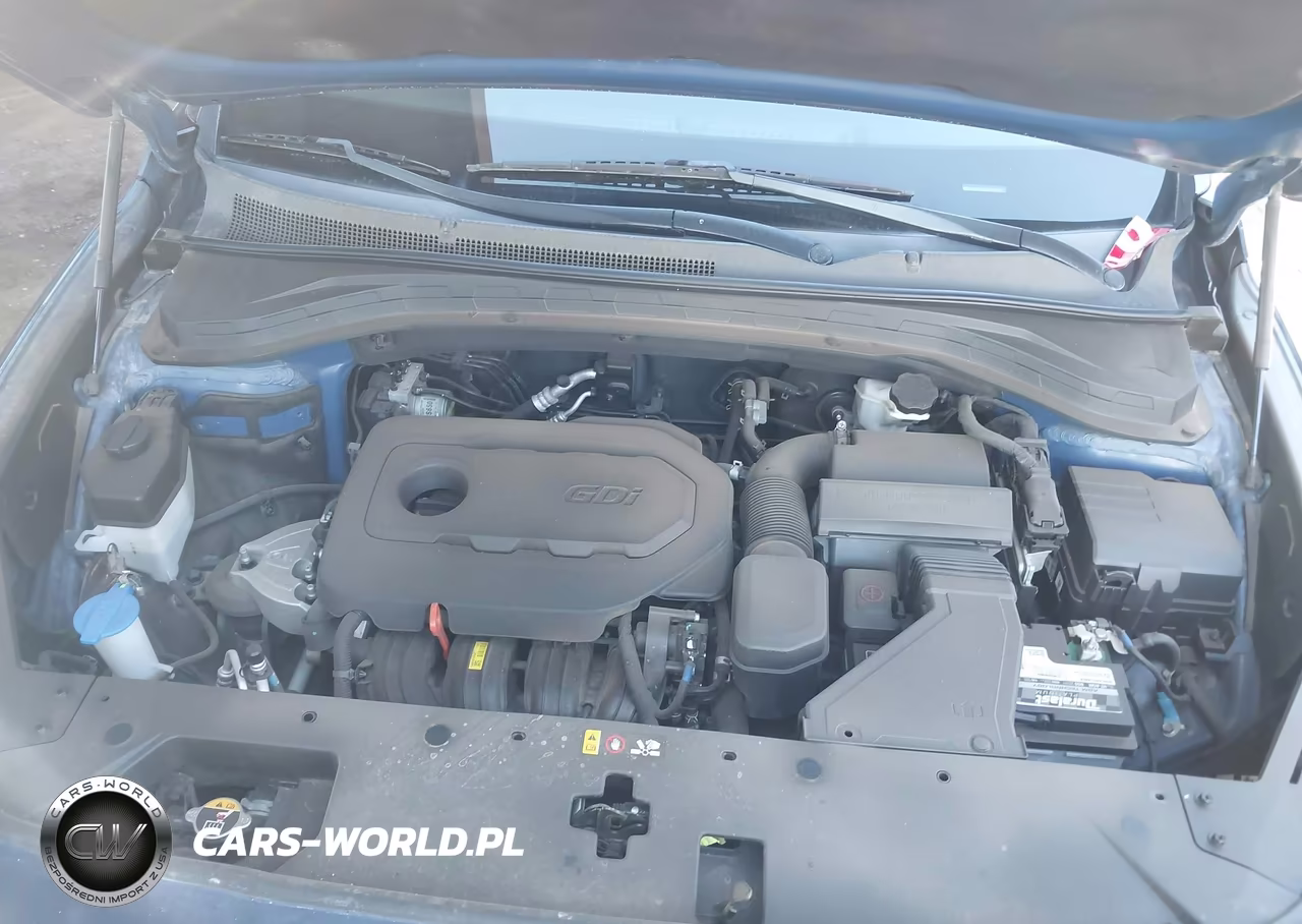 2019 Hyundai Santa Fe Se VIN:5NMS2CAD8KH087168 - 10