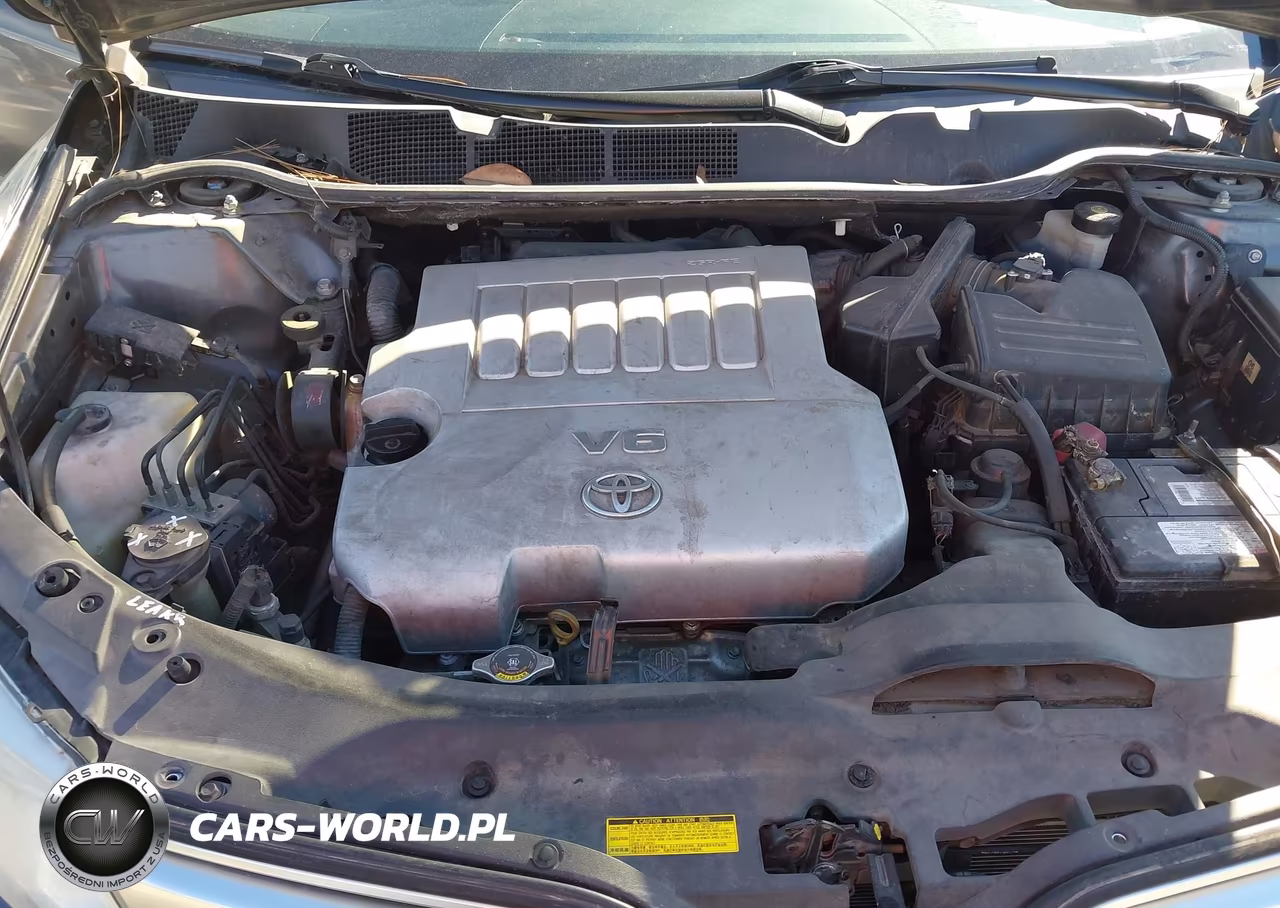 2009 Toyota Venza Base V6 VIN:4T3ZK11A19U006509 - 10