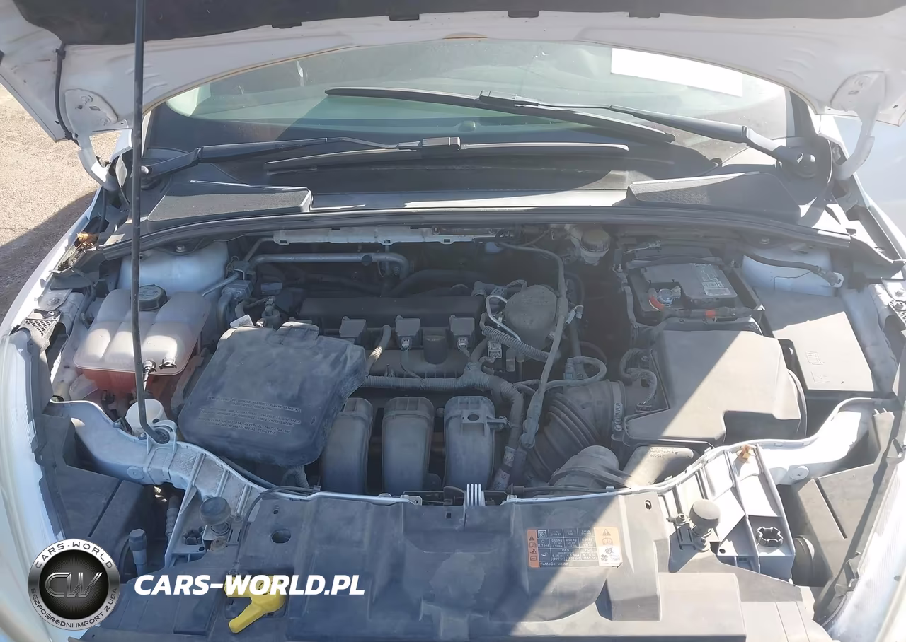 2016 Ford Focus Se VIN:1FADP3F26GL351162 - 10