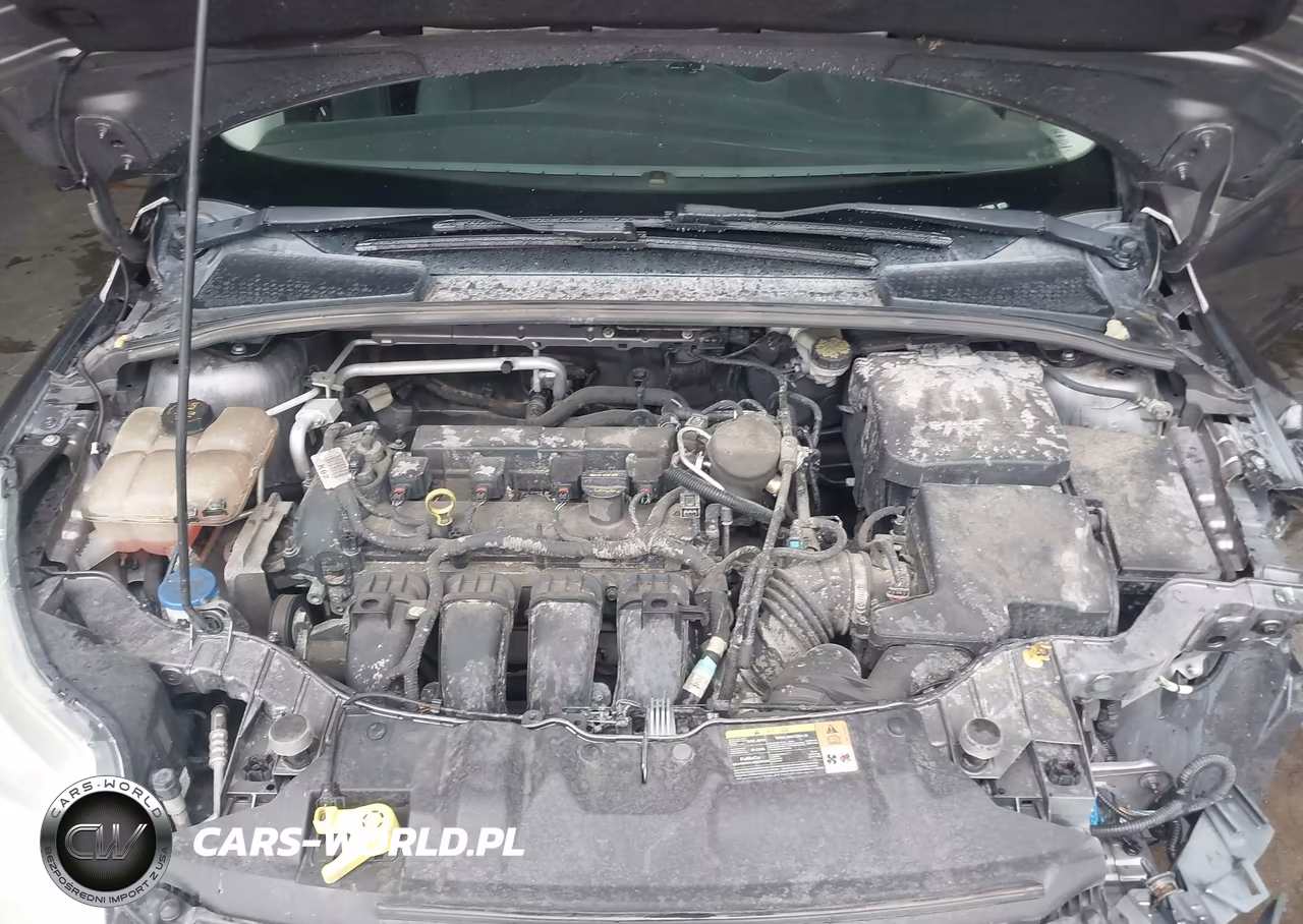 2014 Ford Focus Se VIN:1FADP3F22EL217908 - 10