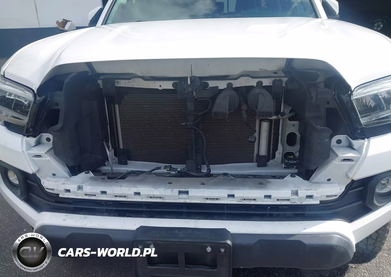 2021 Toyota Tacoma Trd Off-Road VIN:3TMCZ5AN9MM444782 - 17