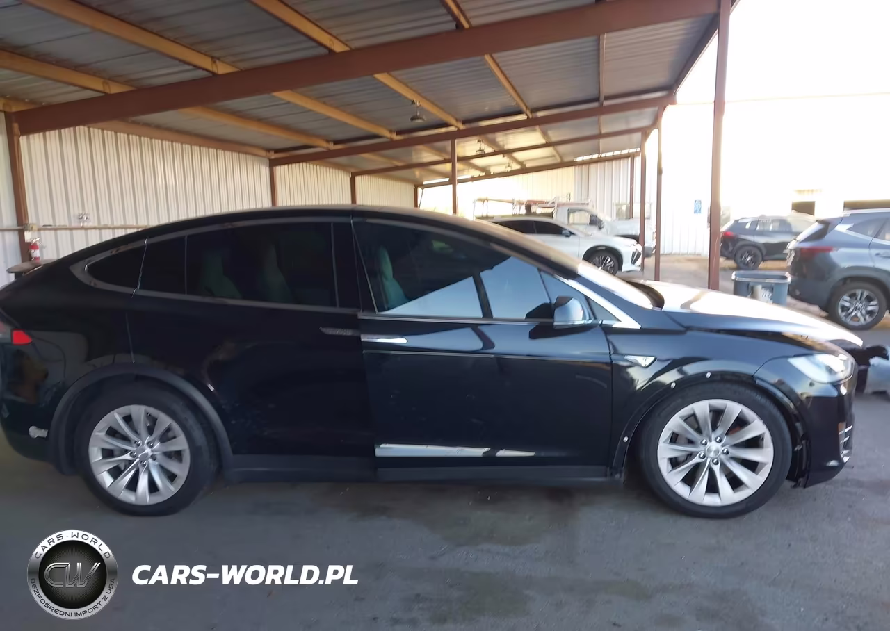 2016 Tesla Model X 60D-70D-75D-90D-P100D VIN:5YJXCBE21GF012181 - 13